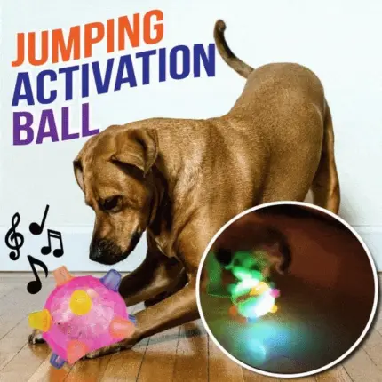 Jumping Activation Ball for Dogs and Cats