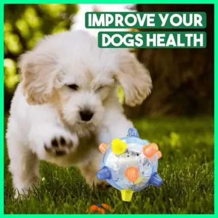 Jumping Activation Ball for Dogs and Cats
