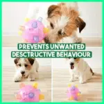 Jumping Activation Ball for Dogs and Cats