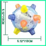 Jumping Activation Ball for Dogs and Cats
