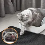 EARLY CHRISTMAS Waterproof Cat Litter Mat