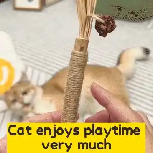 Cat playing with a silvervine stick