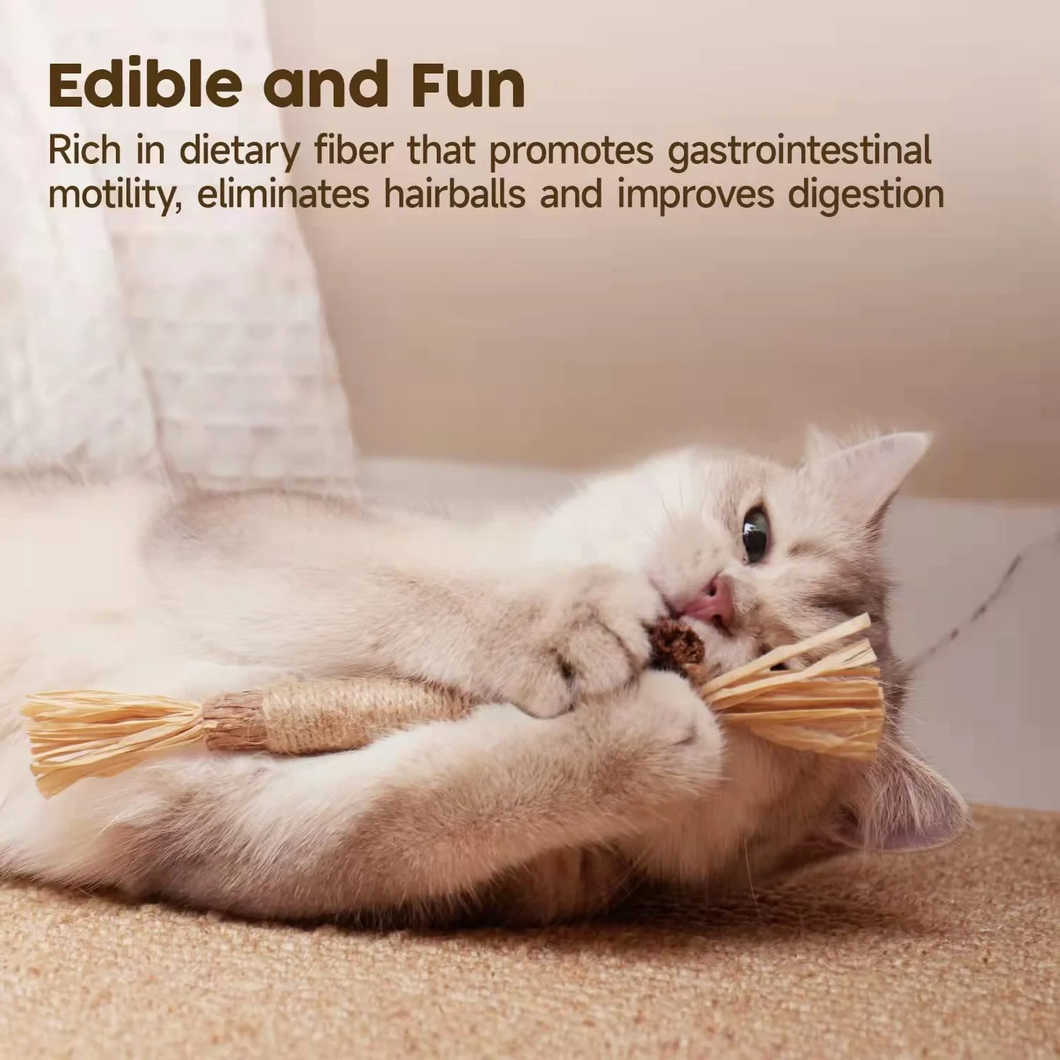 Cat chewing on a toy