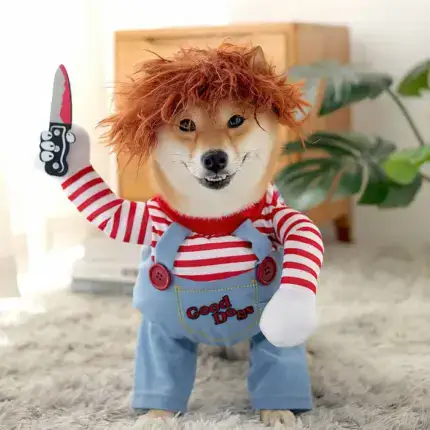 Best Gift Funny Pet Costume