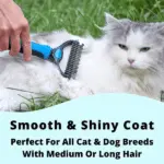 Deshedding Tool 2025