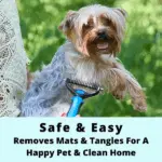 Deshedding Tool 2025