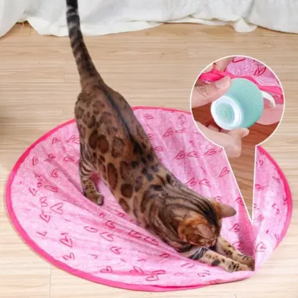 2 in 1 Realistic Interactive Cat Toy