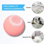 2 in 1 Realistic Interactive Cat Toy