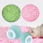 2 in 1 Realistic Interactive Cat Toy