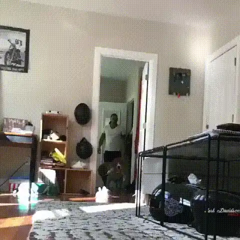 Deadly Doll Dog Costume