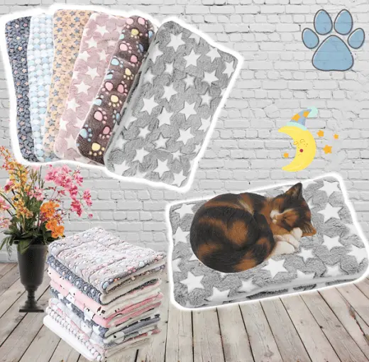 Cat blanket