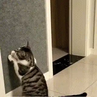 Cat scratch mat