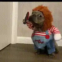 Deadly Doll Dog Costume