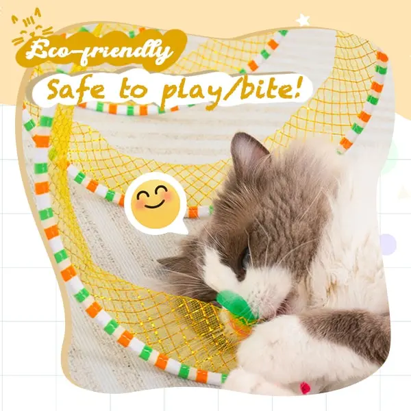 Cat playing with coil tunnel toy