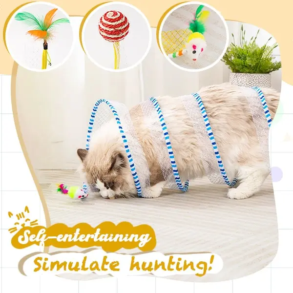 Cat playing with coil tunnel toy