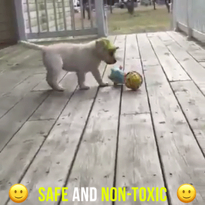 Pet Playing with LED Jumping Ball