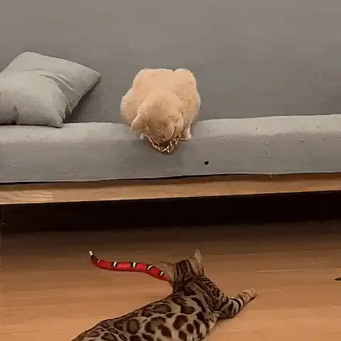 Slither Sprint toy in action
