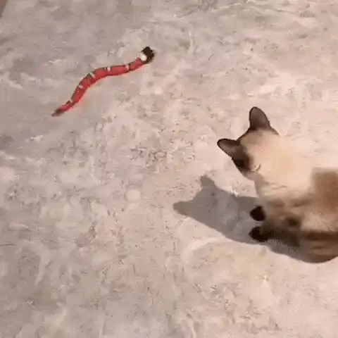 Slither Sprint toy in action