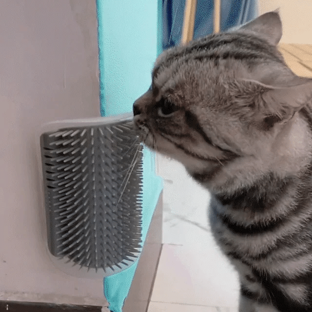 Cat Grooming Brush
