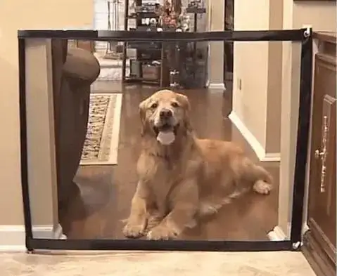 Dog safety gate in use