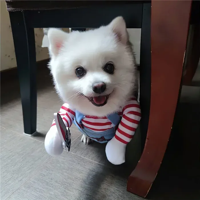 Deadly Doll Dog Costume